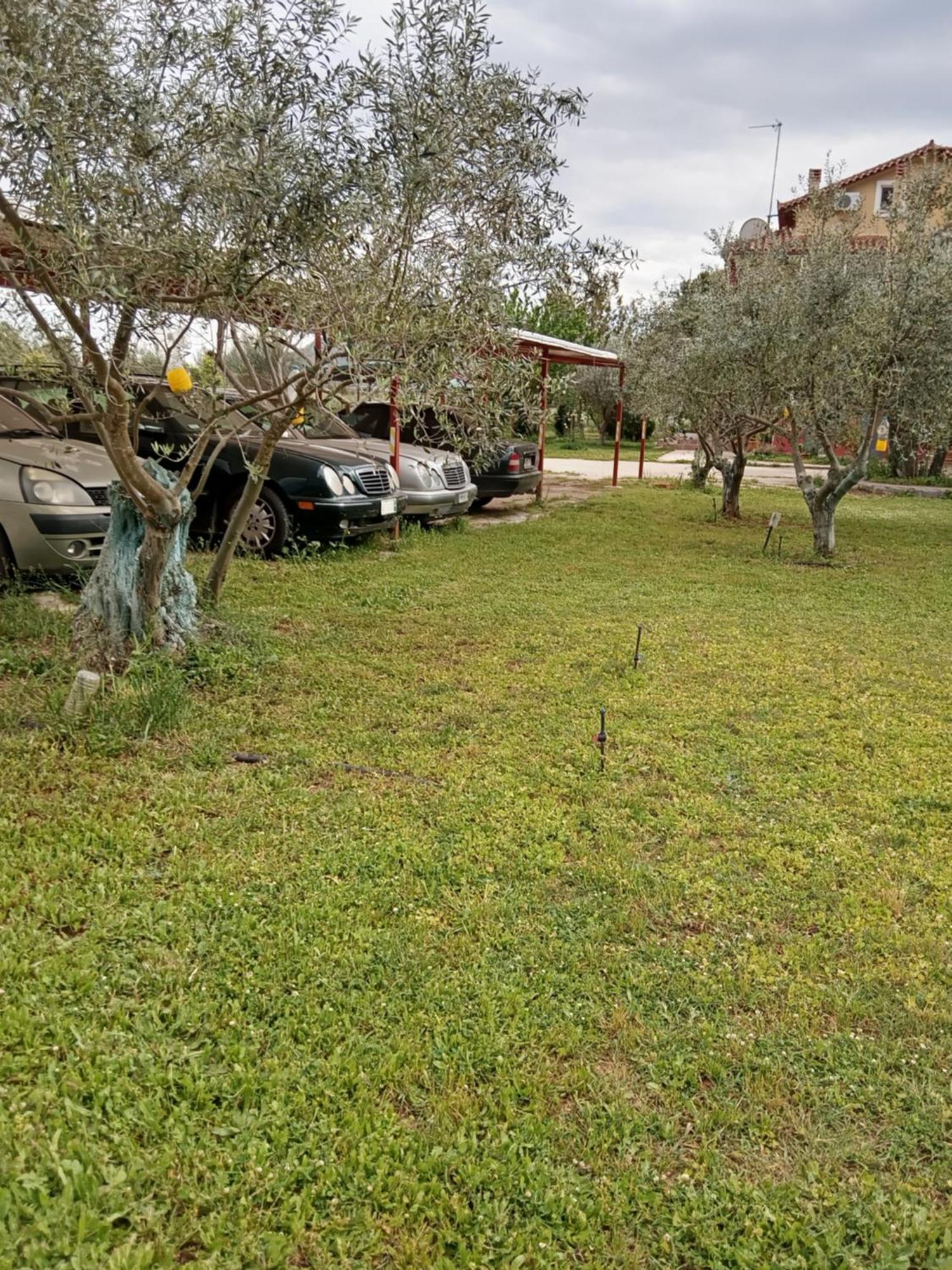 Ktima Anastasia Návplio Rom bilde